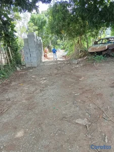 finca en venta en samana 50 tarea aproximadamente 275 mil por metro negociable