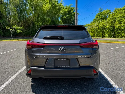 jeepetas y camionetas - Lexus UX300h 14