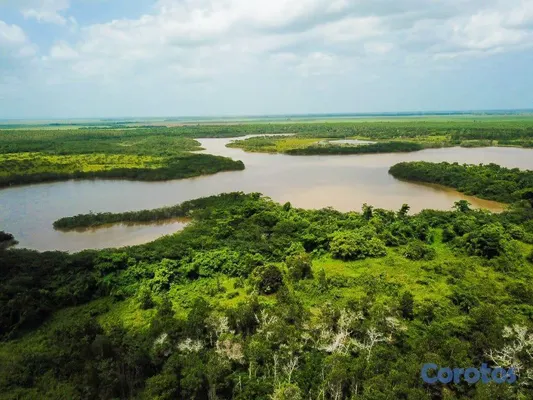 solares y terrenos - 🌿 ¡Descubre el Paraíso Natural en Lagos de los Reyes! San Antonio de Guerra. 9