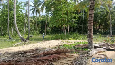Terreno en 1ra Línea en Playa Cosón - Las Terrenas