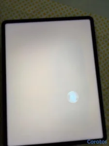 Remato iPad Pro M2 de 13 pulgadas con detalle en p