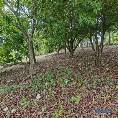 solares y terrenos - Vende Finca en Ramón Santana. 📍San Pedro de Macorí 8