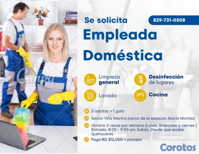 Se busca domestica