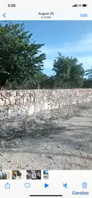 solares y terrenos - TERRENO EN VENTA EN LA MALENA, LOS BANCOS, REPUBLI 5