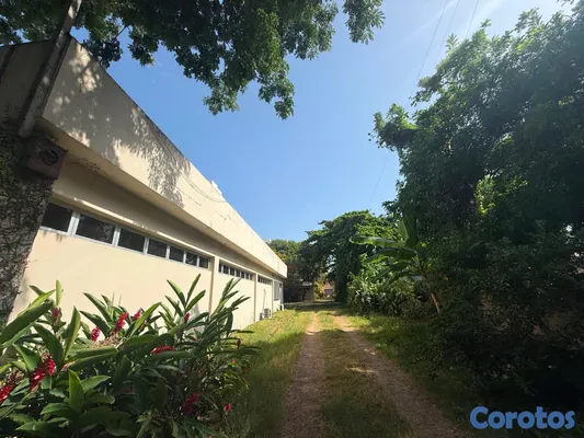 oficinas y locales comerciales - Nave en Alquiler, AV. Independencia  5