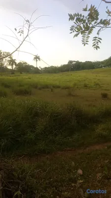 solares y terrenos - finca de 300 tareas en Monte Plata  2