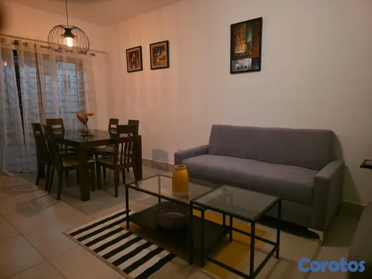 apartamentos - alquiler de apartamento amueblado en el millon  8