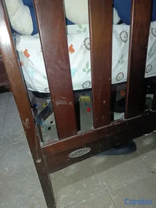 cama- cuna