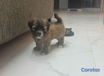 seller-logo