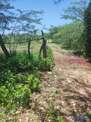 solares y terrenos - VENDO TERRENOS CON  Y SIN PLAYA EN PEDERNALES 2