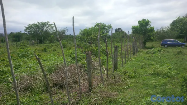 solares y terrenos - Terreno en Sabaneta de Yasica a 7 minutos de cabar 19