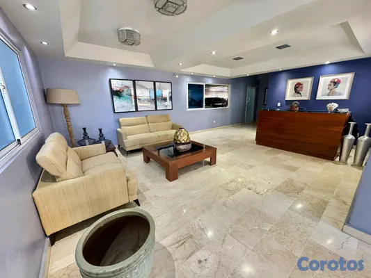 apartamentos - Alquilo Penthouse en Evaristo Morales ju 18