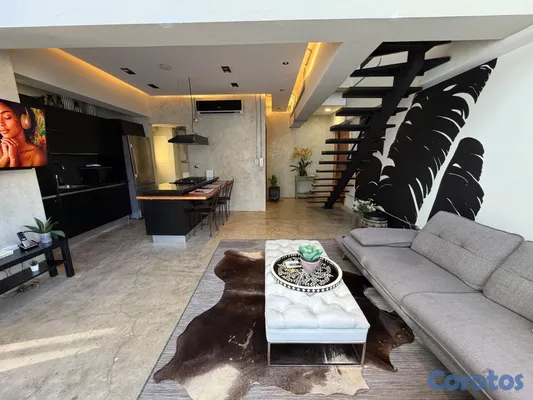 apartamentos - Venta de apartamento amueblado tipo Loft en La Esperilla 3