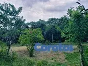 solares y terrenos - Solar en venta de 5,000 mts2 ubicado en la Cuaba KM 22 7