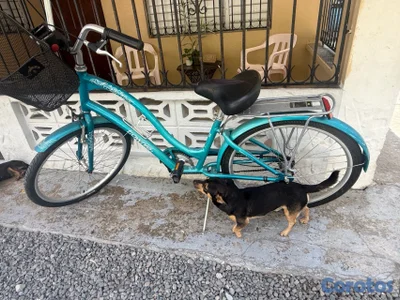 bicicleta marca Townie, frenos de torpedo, color de fábrica, canasta, parrilla 