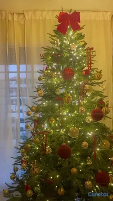 decoración y accesorios - árbol navidad tipo king up  4