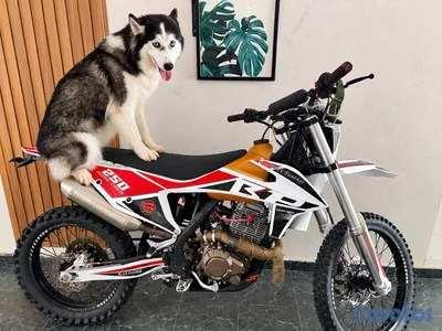Moto Black Painter 250cc
Año 2025