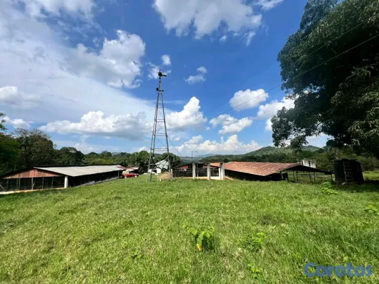solares y terrenos - finca de criadero de animales en maimon 10