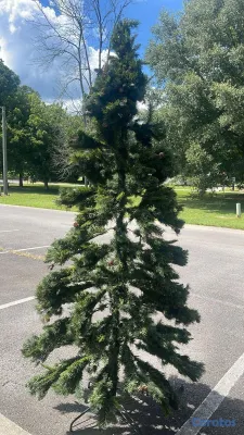 decoración y accesorios - Vendo árbol de navidad importado 9 FT  2