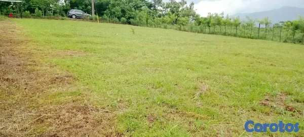 solares y terrenos - Vendo Hermoso Terreno/Finca en Villa Altagracia, Proyecto Hacienda Maria.  7