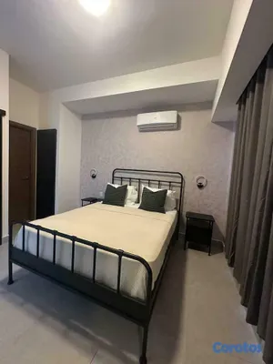 apartamentos - Zona Céntrica / Amueblado / Espectaculares Amenida 2