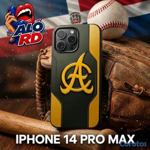  ¡CASE DE PELOTA DOMINICANA!