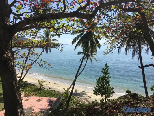 solares y terrenos - Vendo Terreno entre La Pascuala-Río los Cocos,SAMANÁ,Rep.Dominicana  15