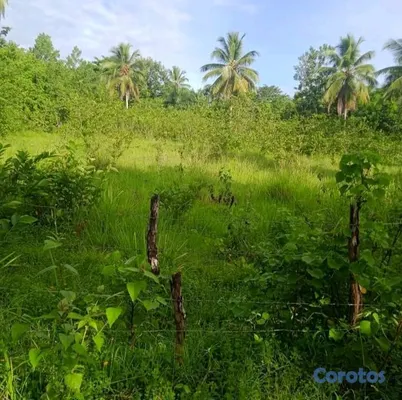 solares y terrenos - finca eco turística de 26 tareas de bayaguana  2