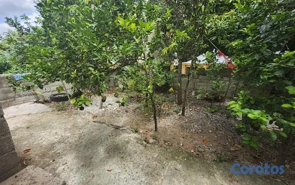 casas - Casa titulada en Quisqueya, 4 hab. y solar 490 m² 3