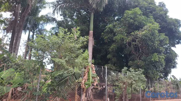 solares y terrenos - TERRENO EN VENTA – LAS GALERAS, SAMANÁ  FRENTE A L 6