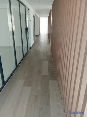 apartamentos - Torre Nueva | Apartamento en Alquiler en Bella Vista | 5to piso. 
 12