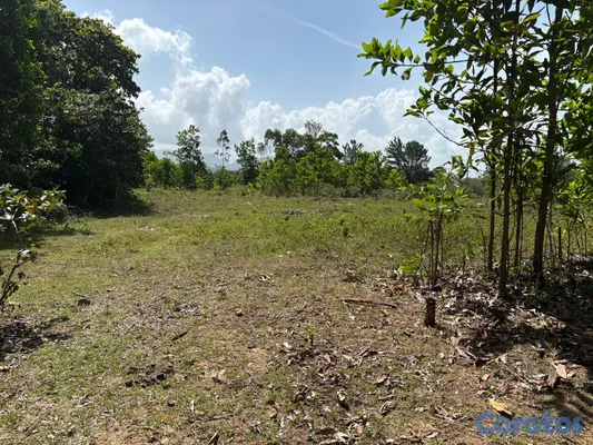 solares y terrenos - Venta de terreno en Los Mogotes, a solo 30 minutos de Santo Domingo. 7