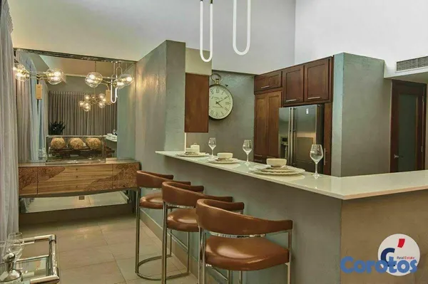 penthouses - MODERNO PENTHOUSE PARA ALQUILER AMUEBLADO EN EXCLU 2