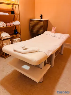 Salud y Equipamiento Médico - Camillas de masaje 3