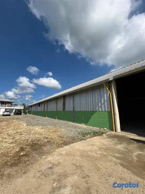 oficinas y locales comerciales - ALQUILER DE NAVE EN LA 6 DE NOVIEMBRE 4