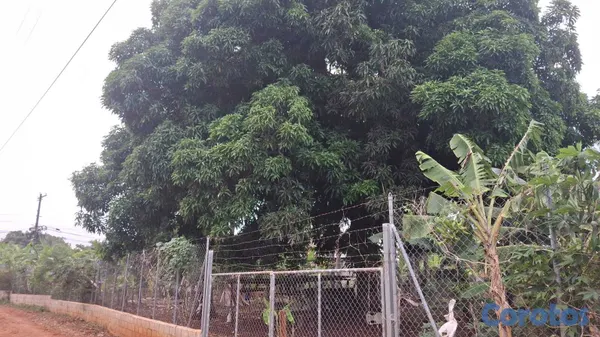 solares y terrenos - TERRENO EN VENTA – LAS GALERAS, SAMANÁ  FRENTE A L 5