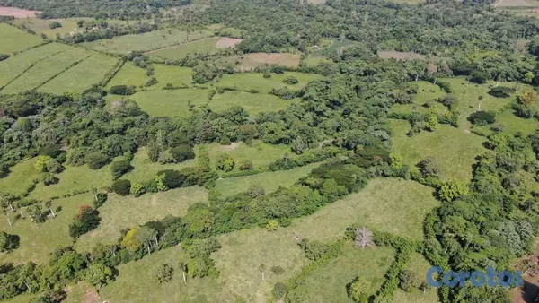 otros inmuebles - hacienda ganadera de 2800 tareas en Monte Plata  4