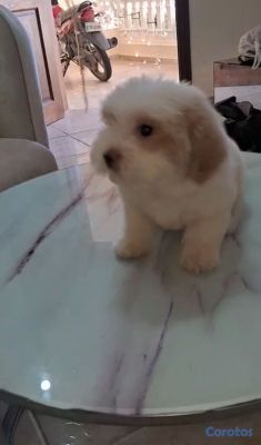 seller-logo