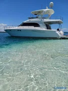botes - Yate Sea Ray Sedan bridge 58" (Monte Cristi) Excelente Estado