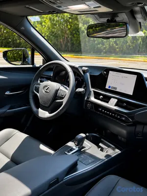 jeepetas y camionetas - Lexus UX300h 2