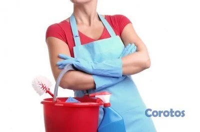 Se busca Domestica para el hogar