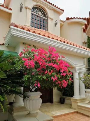 casas vacacionales y villas - Villa Ensueño, Autopista de San Isidro, República Dominicana 10