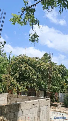 Viviendas de Bajo Costo - venta de local con terreno de 178m 550 negociable la ureña santo Domingo este  5