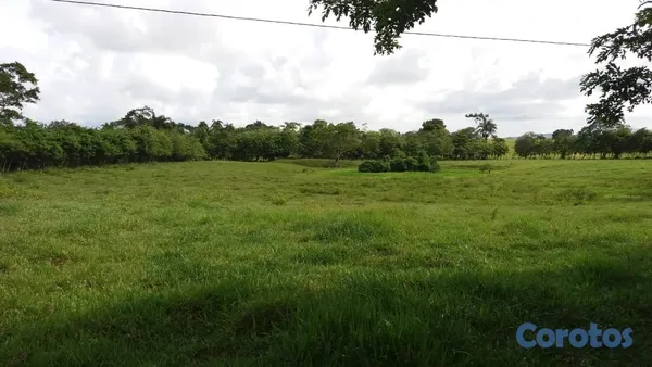 solares y terrenos - Venta de finca 474 tareas. Río San Juan-  Maria Trinidad Sanchez. 2