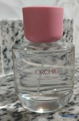 salud y belleza - Perfumes Zara Orchid & Wonder Rose para mujer 3