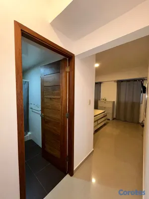 apartamentos - APARTAMENTO EN PIANTINI 7