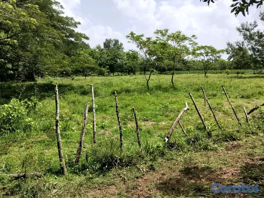 solares y terrenos - finca de 3000 tareas con vocación agrícola en Monte Plata  12