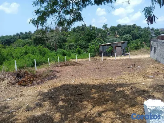 solares y terrenos - Vendo terreno en los Girasoles Sector Don Panchito  2