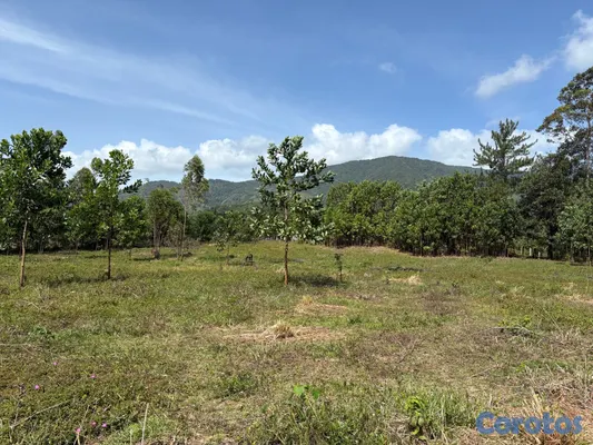 solares y terrenos - Venta de terreno en Los Mogotes, a solo 30 minutos de Santo Domingo. 3