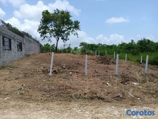 solares y terrenos - Vendo terreno en los Girasoles Sector Don Panchito  4